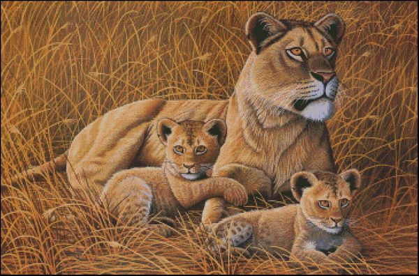 African Lioness and Cubs